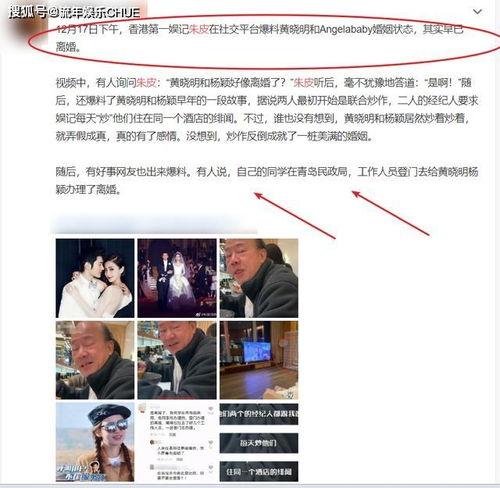 最近热度爆料新闻,真相与舆论的碰撞  第1张
